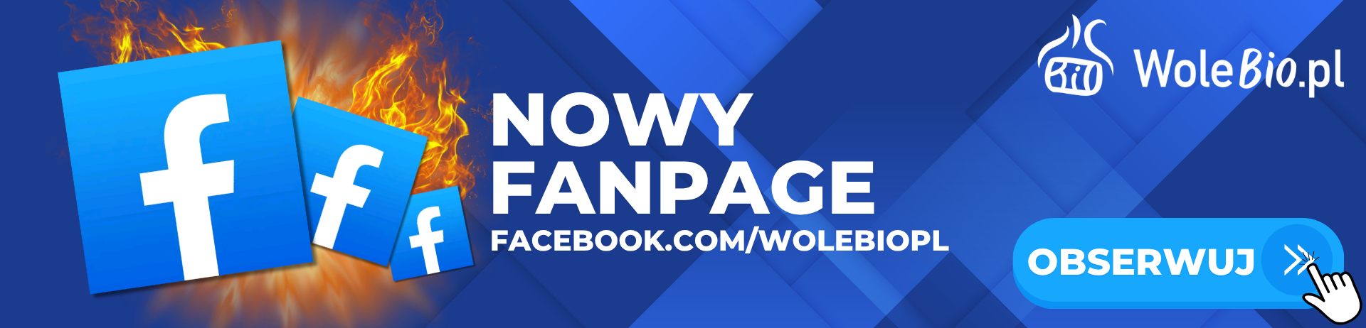 Kotły na pellet WoleBio