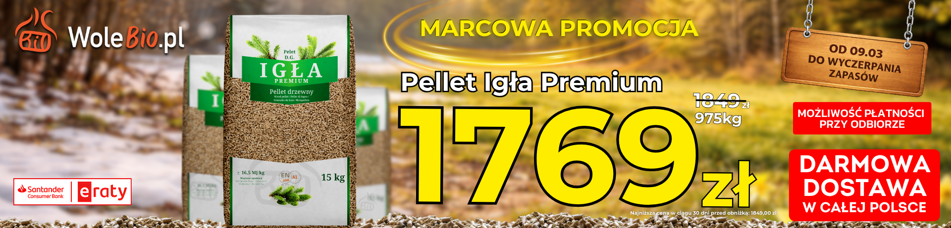 Pellet Igła