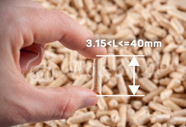 Pellet Hiton 6 mm podwójny certyfikat