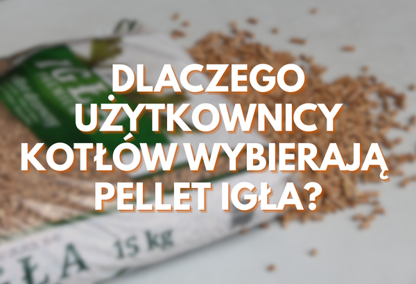 Pellet Igła Premium - dlaczego użytkownicy wybierają go

