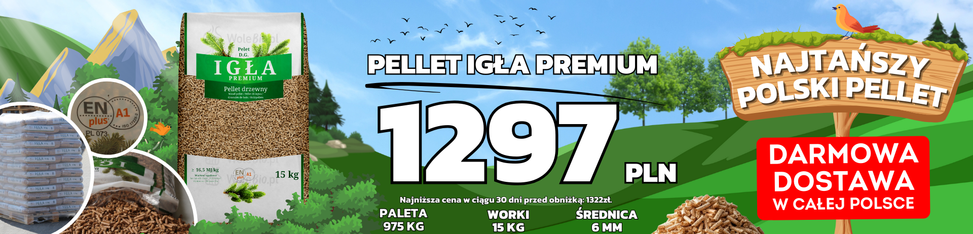 Pellet Igła