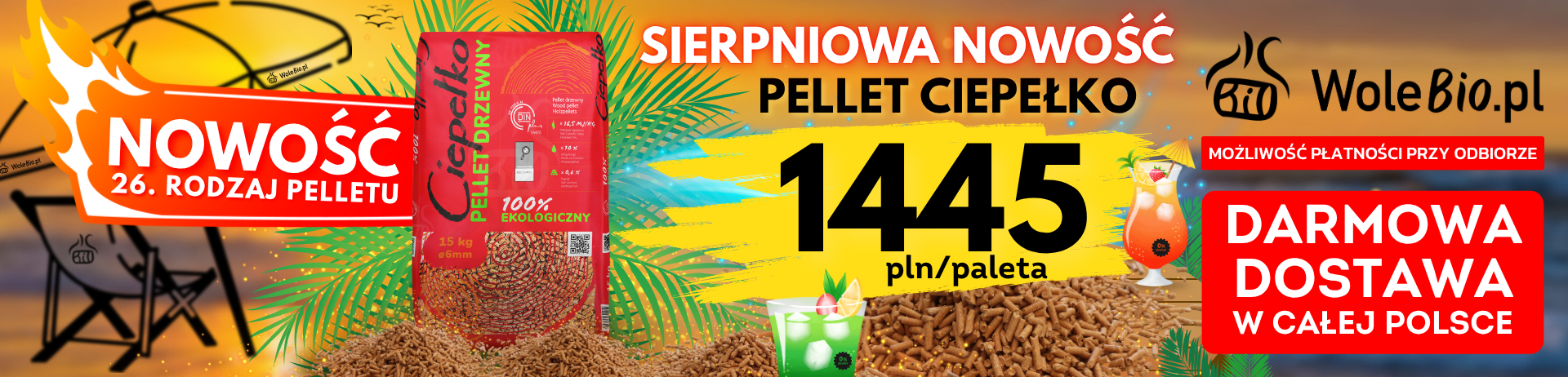 Pellet Igła