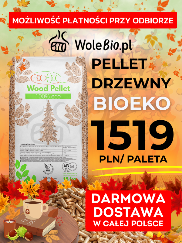 slider pellet igła